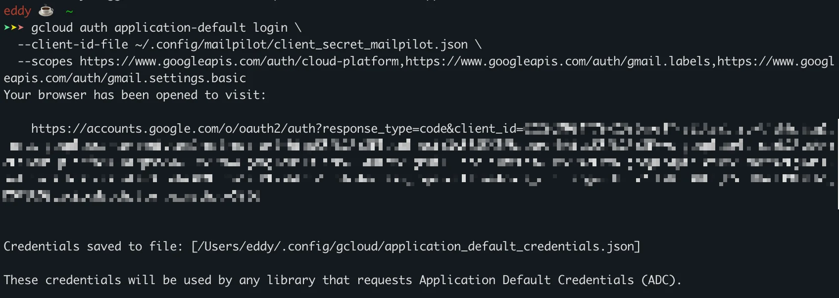 Terminal running gcloud auth application-default login with success message.